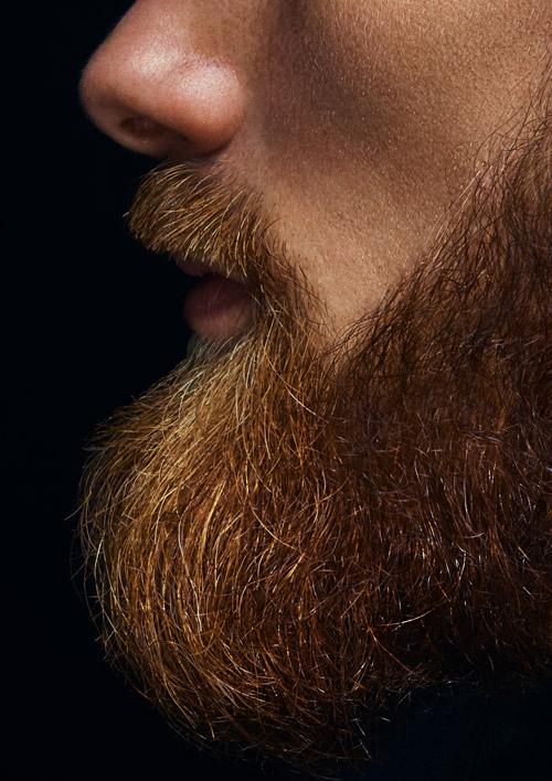 Barba plus: cura barba folta